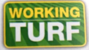 Working Turf Ltd